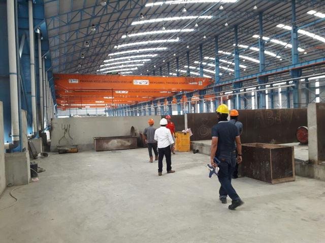 PLC hoist crane